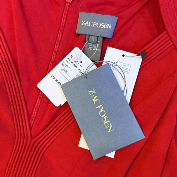 NWT ZAC POSEN WOMEN'S V-NECK MIDI LENGTH DRESS SIZE 12 L - Picture 5 of 13